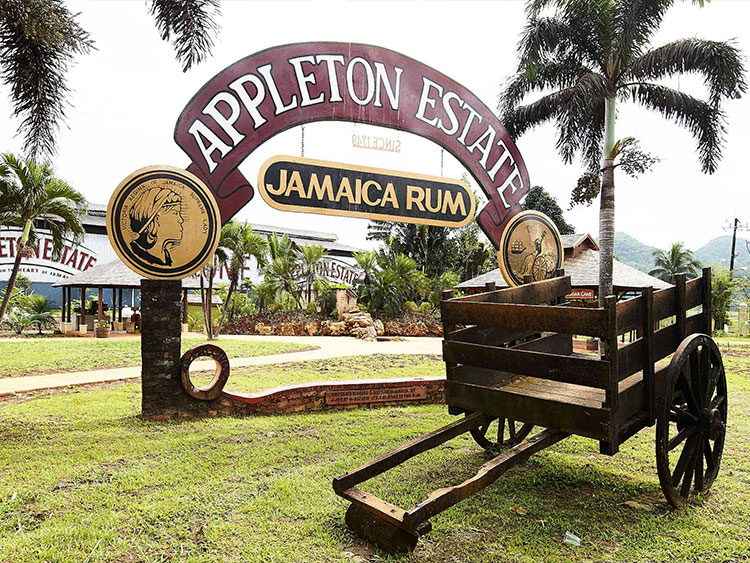 dtours-jamaica-attractions-appleton-estate-rum-factory-3