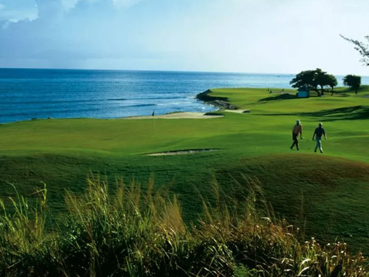 dtours-jamaica-attractions-cinnamon-hill-gulf-course-1