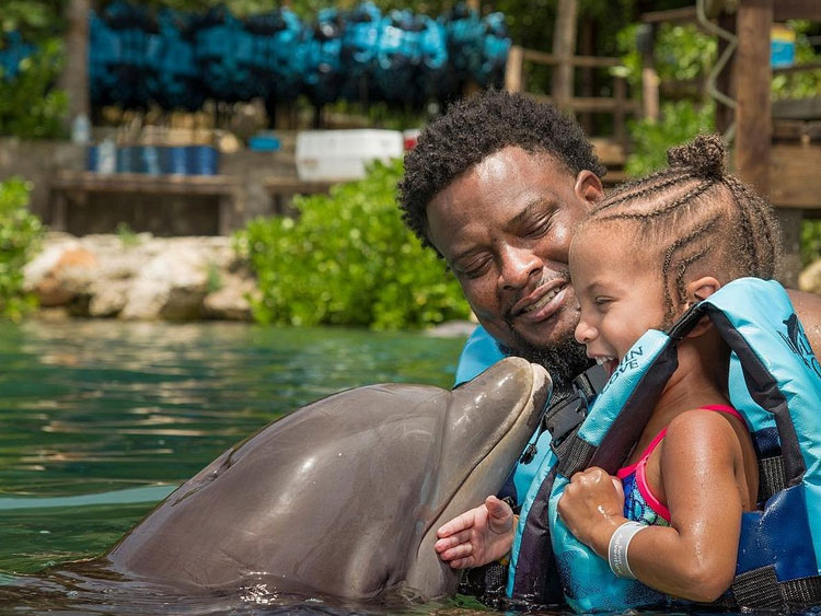 dtours-jamaica-attractions-dolphin-cove-montego-bay-1