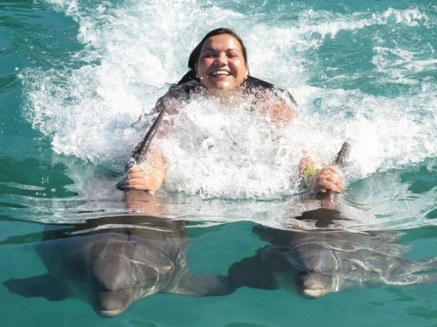 Dolphin Cove Montego Bay - Swim with Dolphins