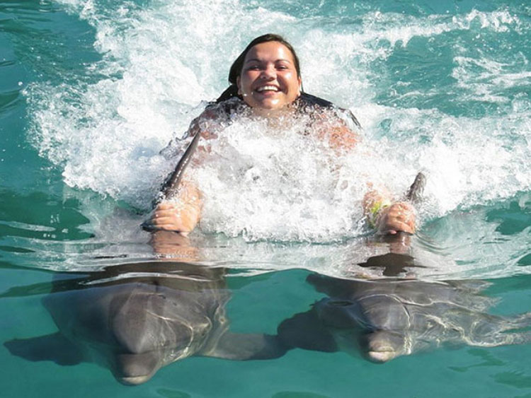 dtours-jamaica-attractions-dolphin-cove-montego-bay-3