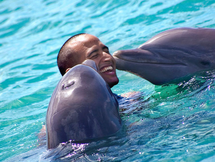 dtours-jamaica-attractions-dolphin-cove-ocho-rios-1