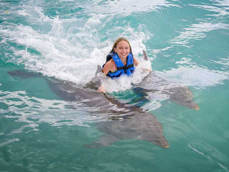 dtours-jamaica-attractions-dolphin-cove-ocho-rios