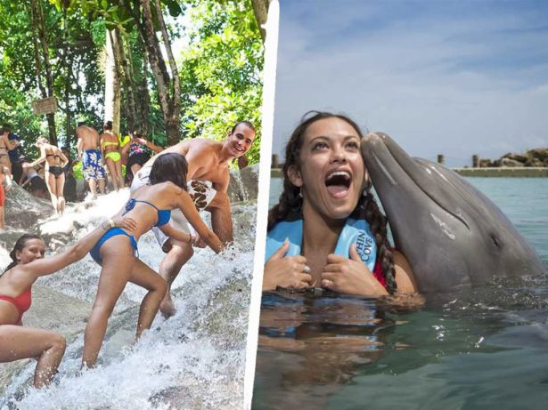 Dunn's River Falls and Dolphin Cove Ocho Rios