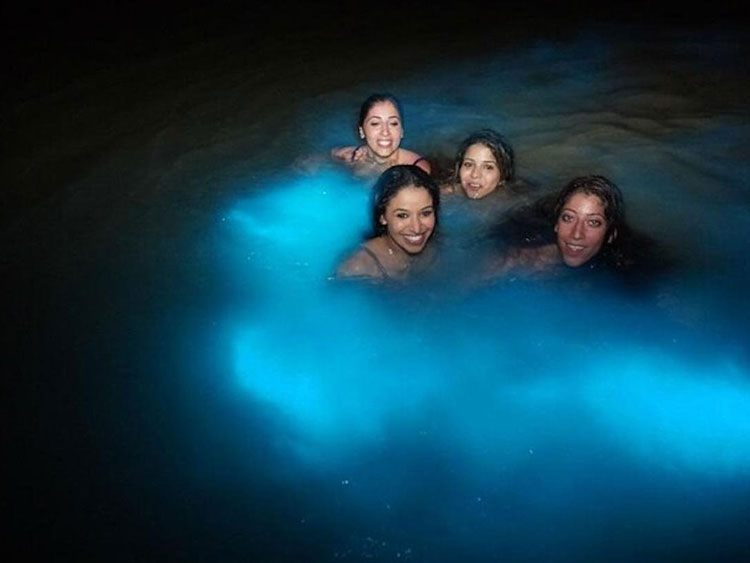 dtours-jamaica-attractions-luminous-lagoon-1