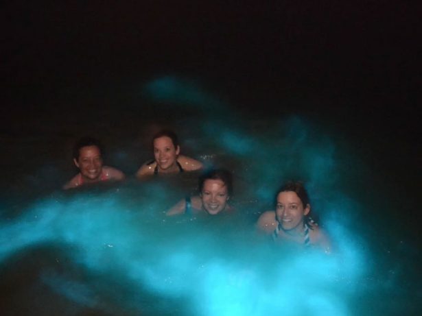 Luminous Lagoon Glistening Waters Falmouth