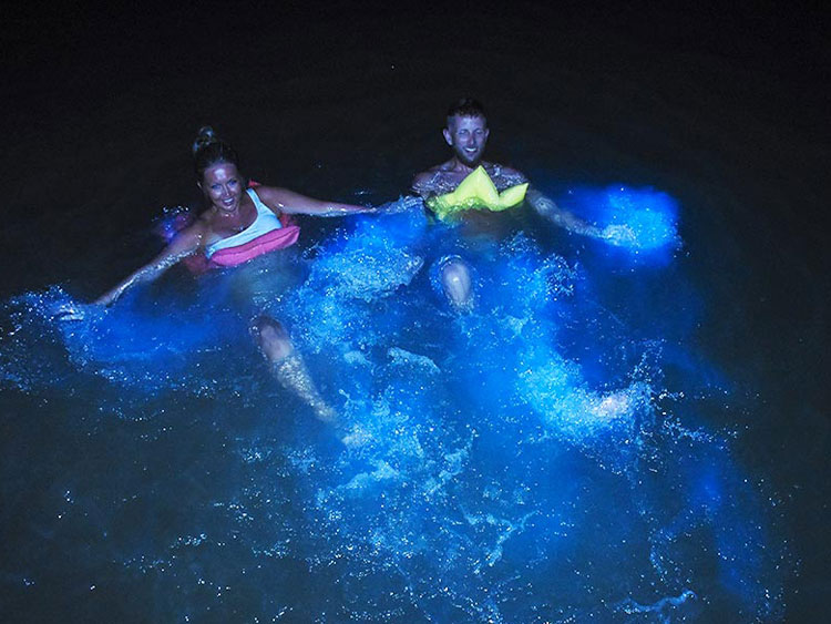 dtours-jamaica-attractions-luminous-lagoon-3