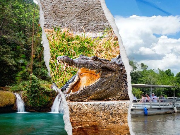 Black River Safari & Pelican Bar Combo