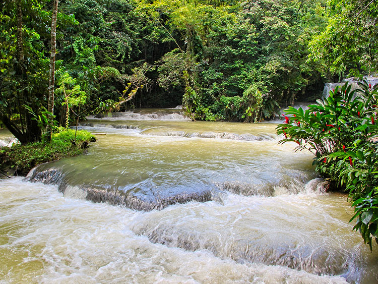 dtours-jamaica-attractions-ys-falls-3