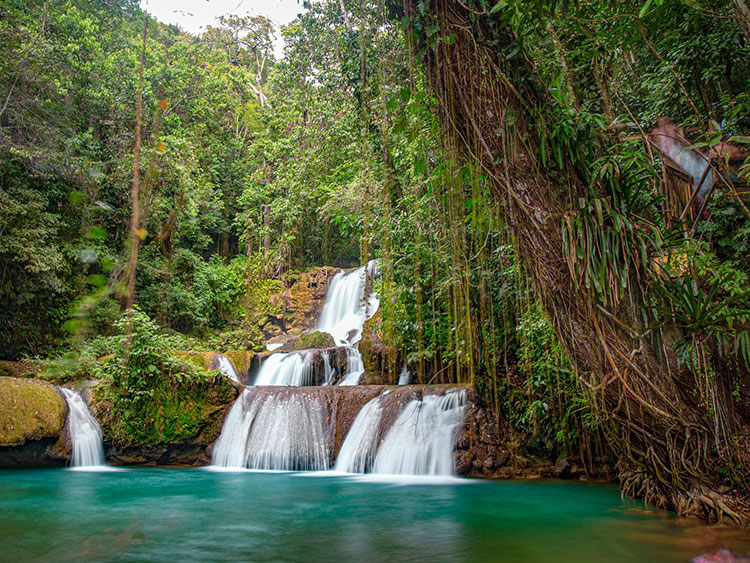 dtours-jamaica-attractions-ys-falls